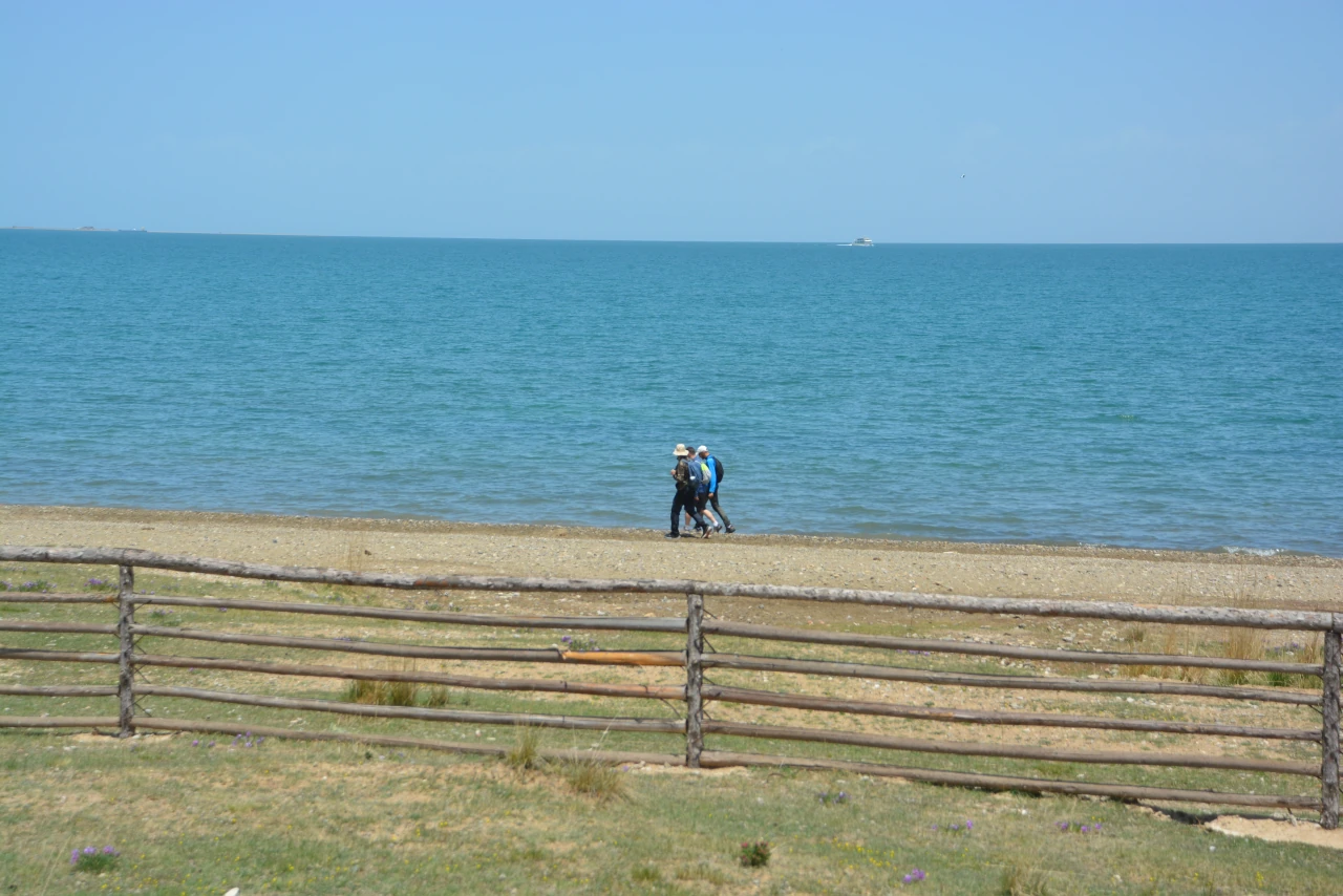 Qinghai Lake shoreline and lakeside grassland, Qinghai, China.